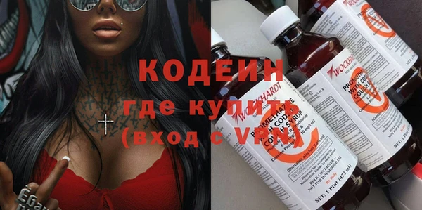 индика Новодвинск