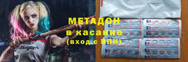 индика Новодвинск